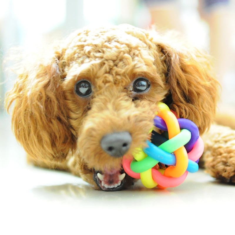 5cm Colorful Rainbow Pet Bell Ball Dog Toy Cat Toys Pet Dog Ball Bell Chew Toys Play Teeth Training Pet Products