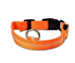 Correa LED de nailon para perros, seguridad nocturna, brillo en la oscuridad, correa para perros, collares fluorescentes luminosos para perros